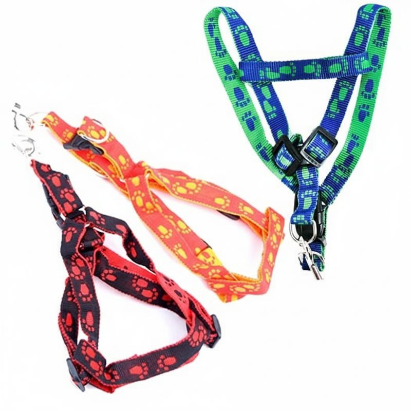 Correas con Pechera (Pequeñas)