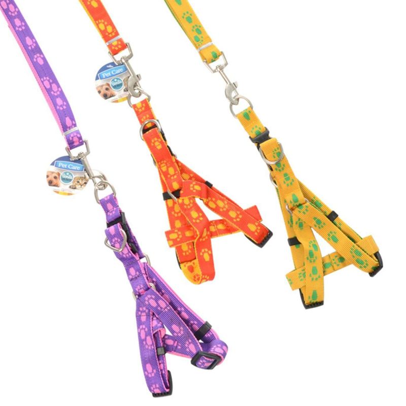 Correas con Pechera (Pequeñas)