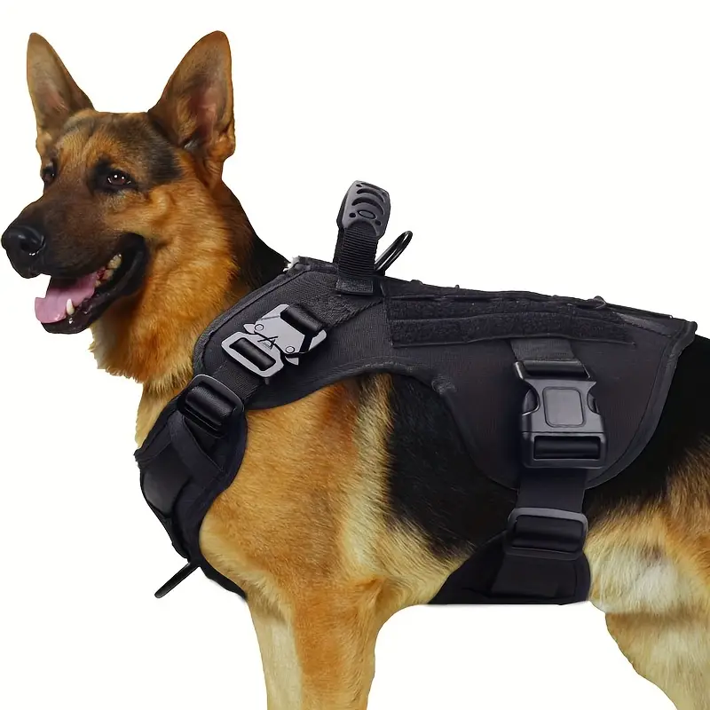 Arnes Militar XL