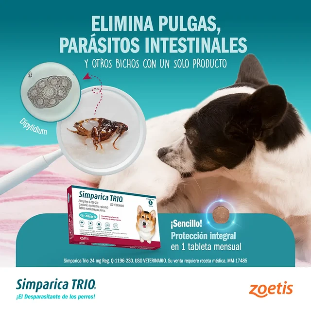 Simparica Trío 