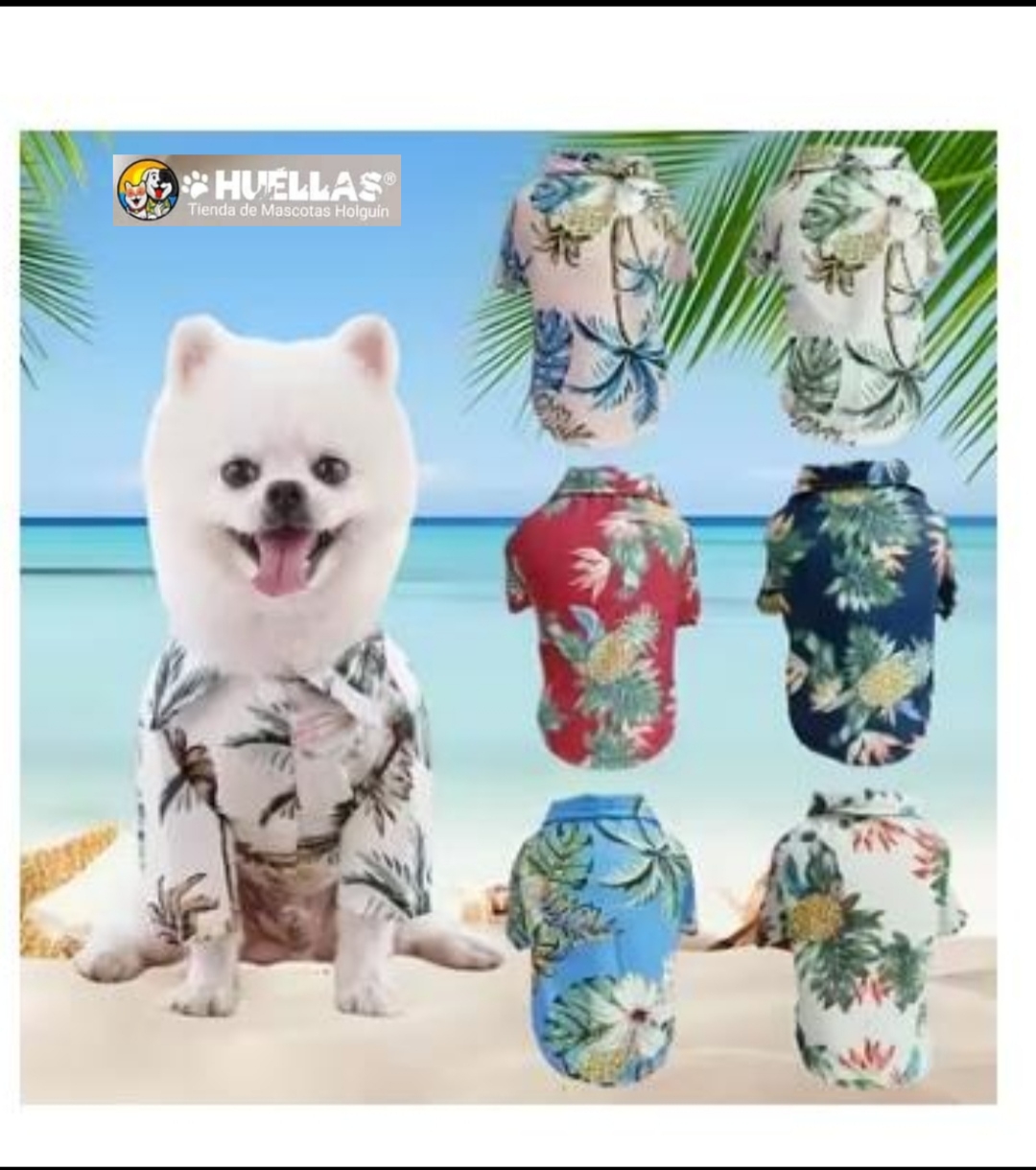 Camisa Hawaiana T-2XL 